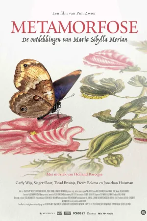یام metamorphosis