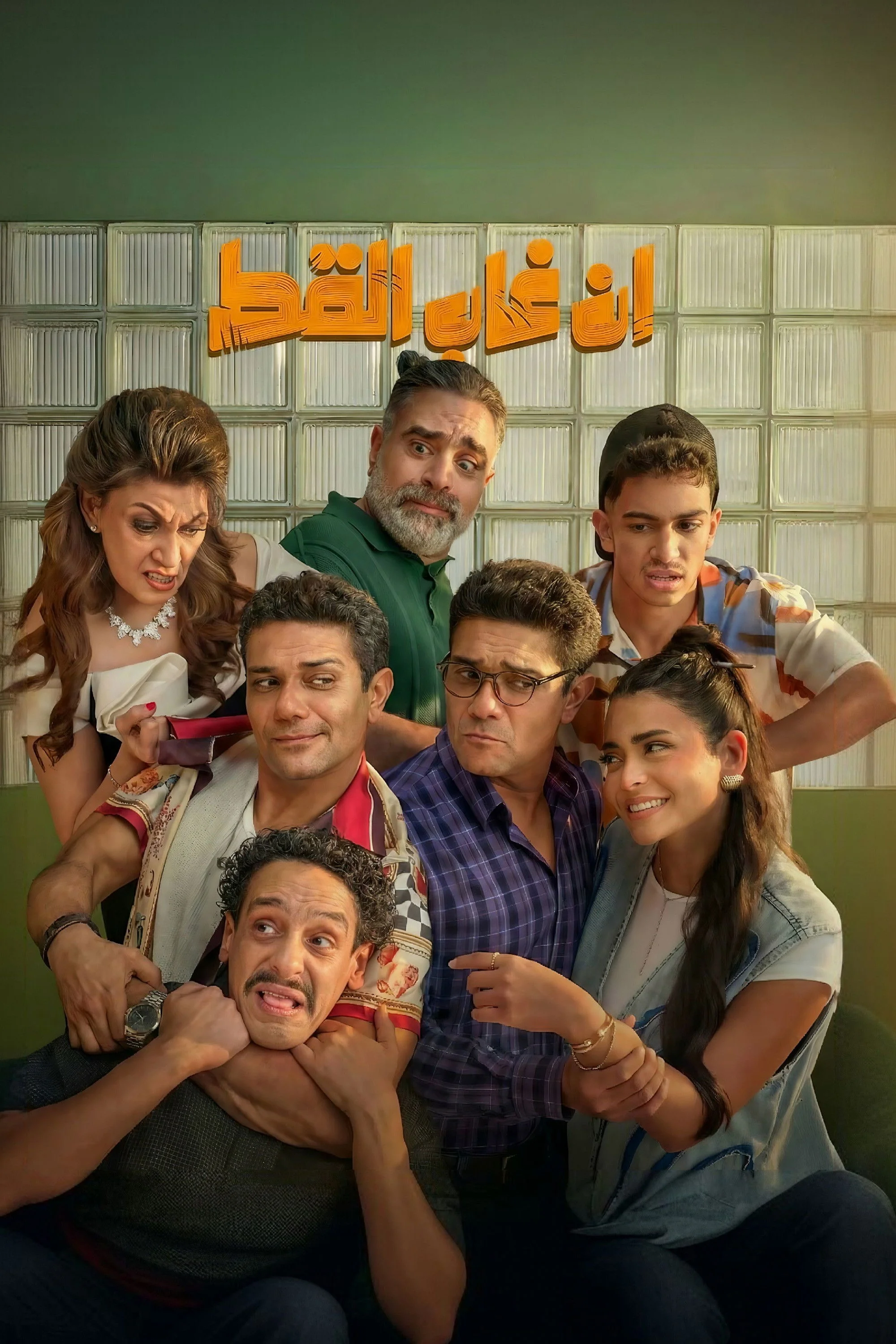 اگر گربه نبود