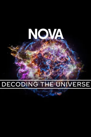 Decoding the Universe - Cosmos (FR)