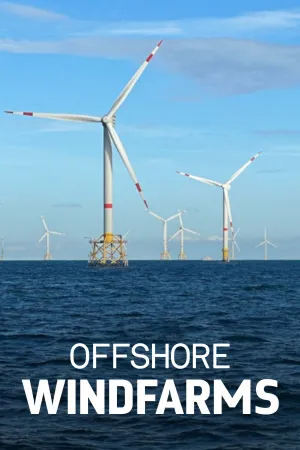 Les éoliennes en mer, quelle cohabitation avec la nature ?