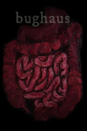 حشره خانه