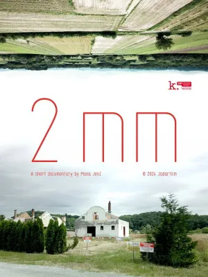 2mm