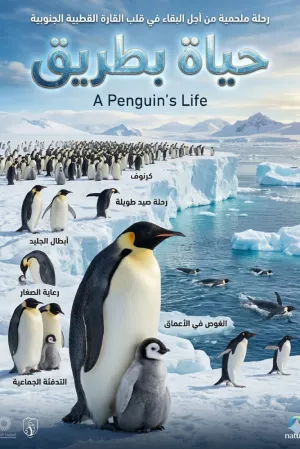 زندگی پنگوئن