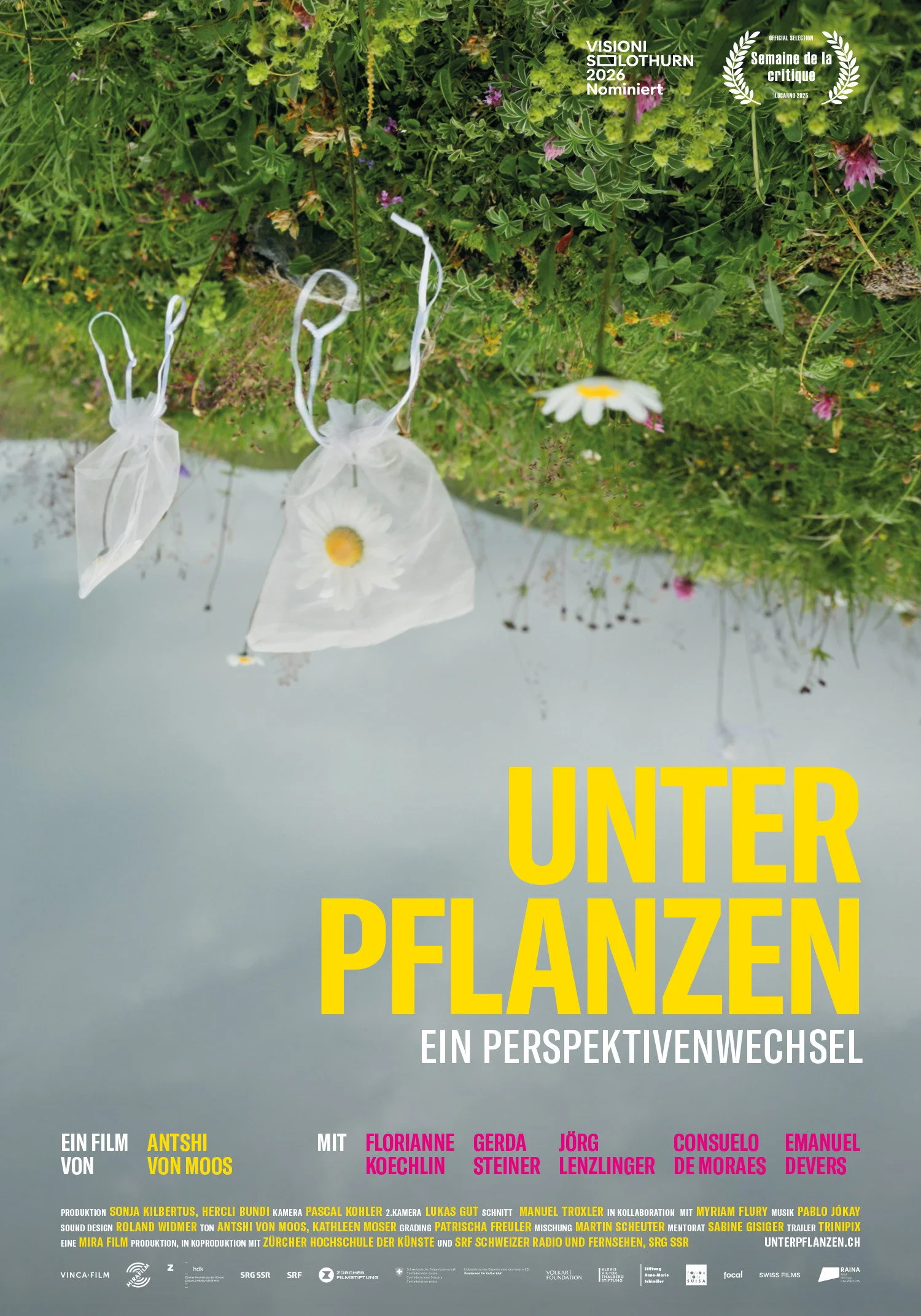 Flying Scents – of Plants and People