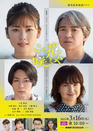 وقتی این گل باز می‌شود