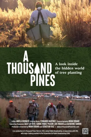 A Thousand Pines (ES)