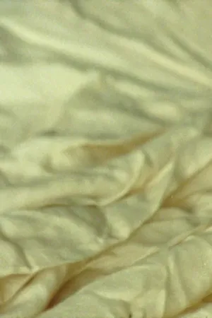 اتو کشی در خیابان