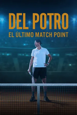 Del Potro, el último match point (ES)