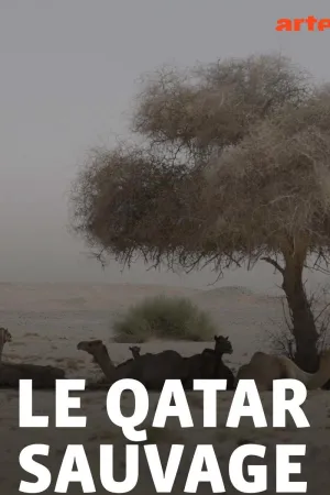 وحشی کاتر