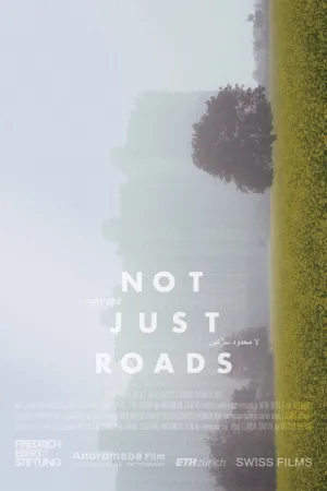 Not Just Roads