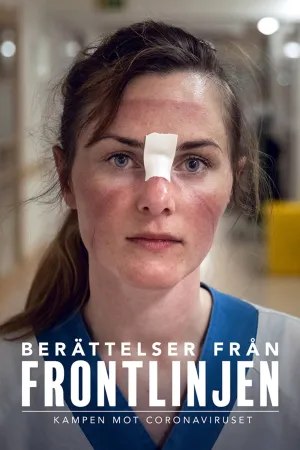 Berättelser från frontlinjen