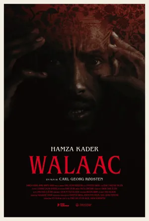 ولاواک