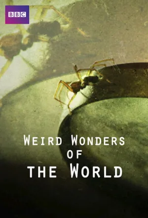 Weird Wonders of the World