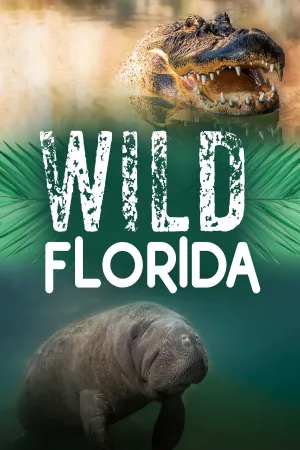 Wild Florida