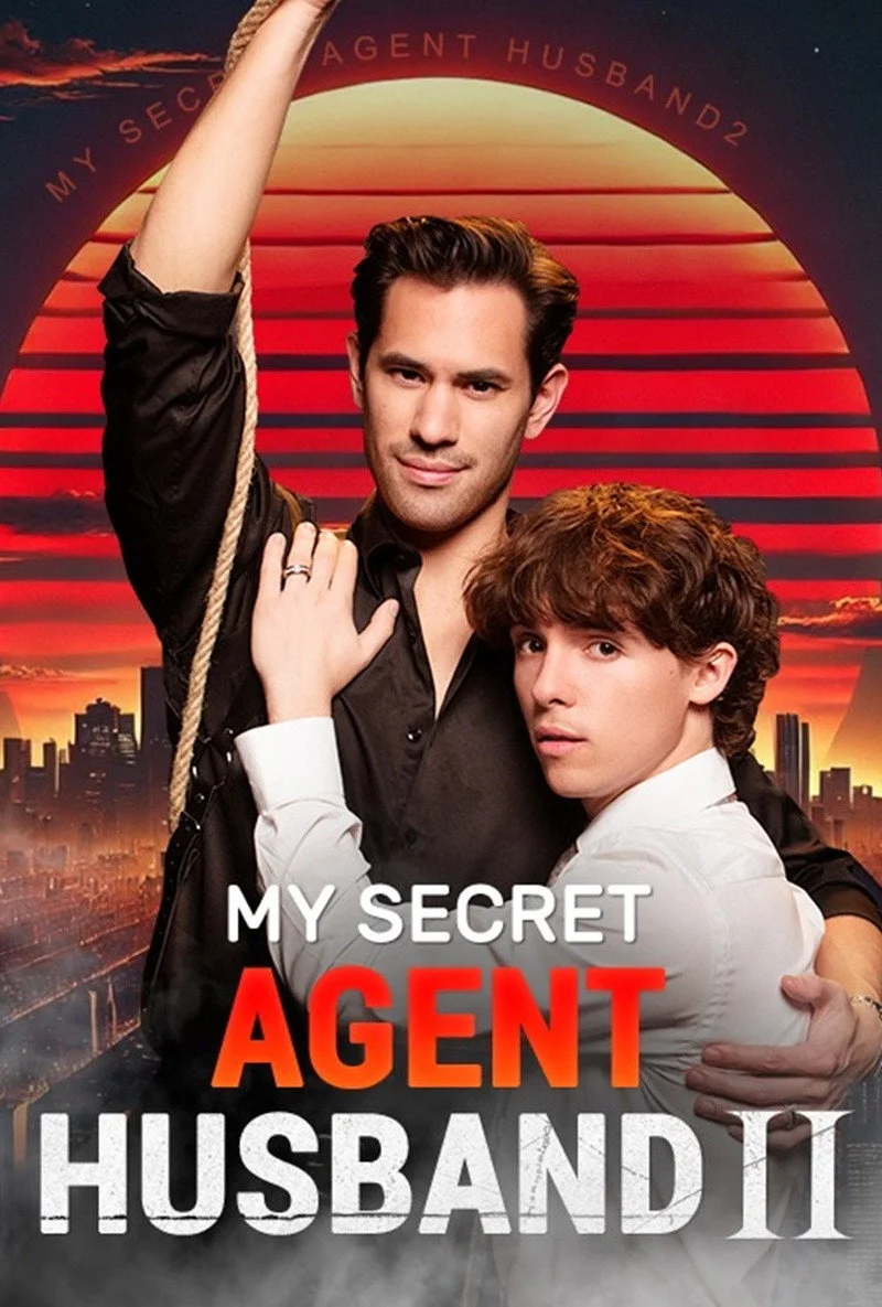 My Secret Agent Husband