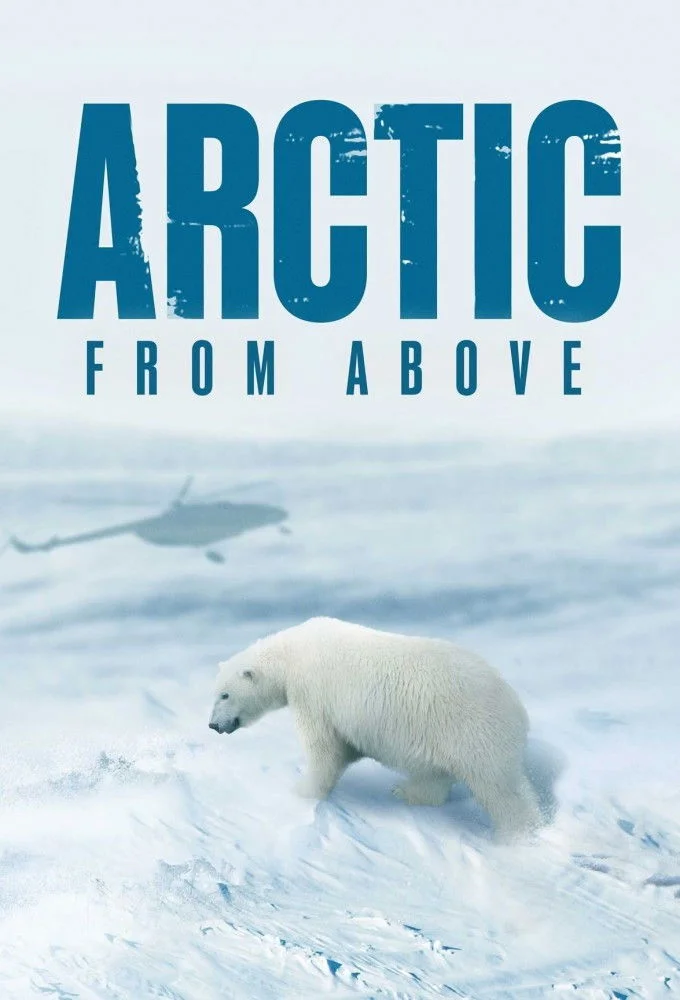 Arctic from Above