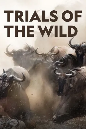 Trials of the Wild