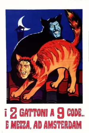 The Two Big Cats O'Nine Tails... and a Half in Amsterdam