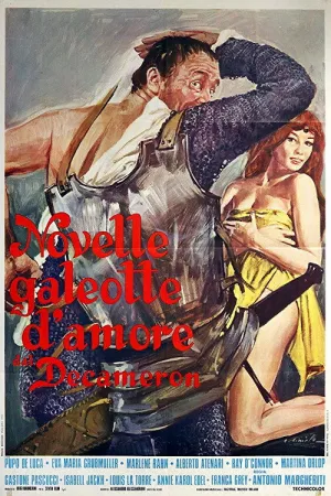 Novelle galeotte d'amore