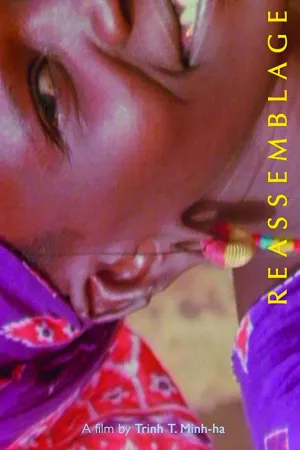 Watch and download Reassemblage: From the Firelight to the Screen online (1983)