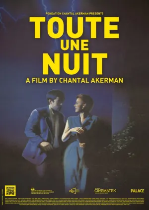 Toute une nuit