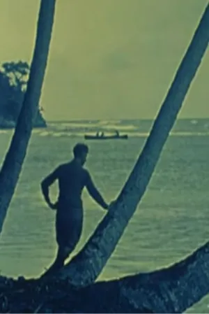 Watch and download Tropical Nights online (1920)