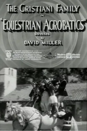 Equestrian Acrobats