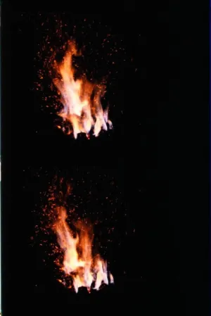 Fire