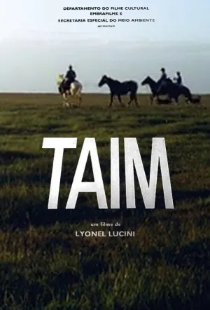 taimi