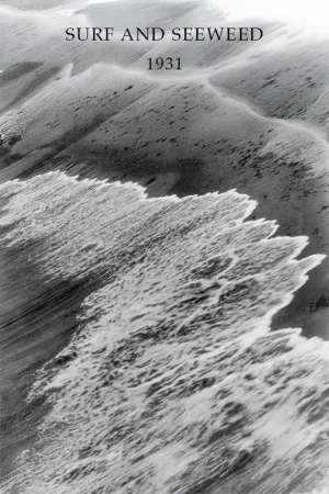 Surf and Seaweed