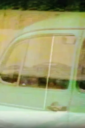 ماشین در باغ