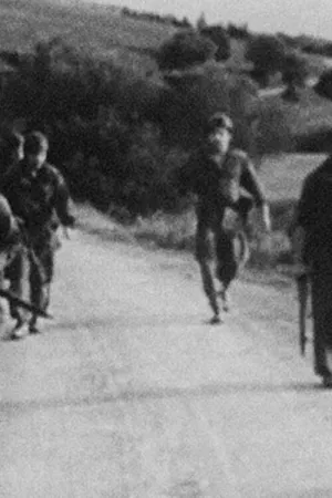 الجزایر 1962: تاریخچه یک درگیری