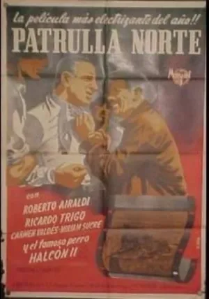 پاترولا نورت