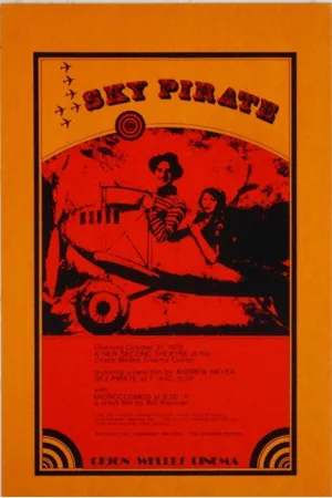 The Sky Pirate
