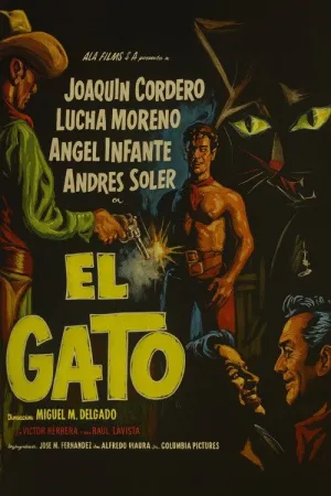 El gato
