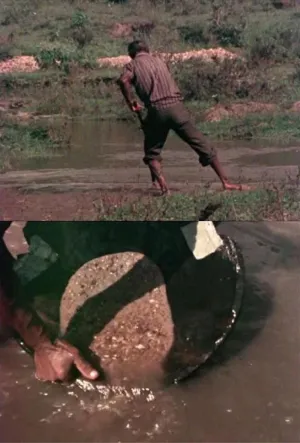 موسیقی باروک مانیرا