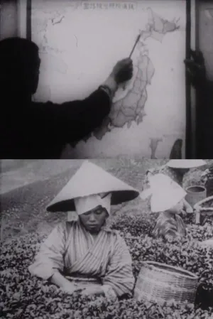 Watch and download Beautiful Japan online (1918)