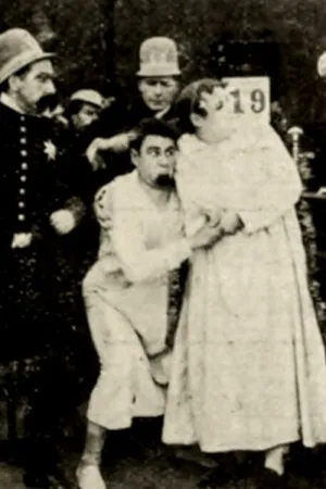 میراث هافمایر