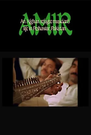امیر: موسیقی‌دان افغان در پشاور