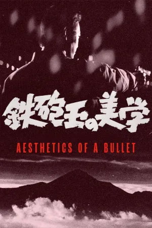 Aesthetics of a Bullet