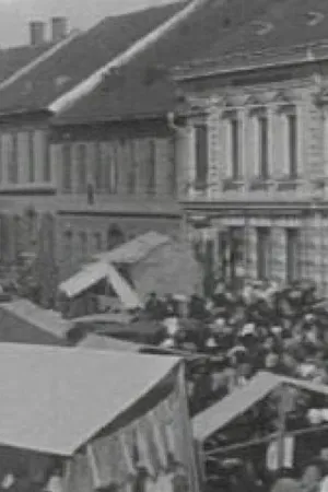 Watch and download The Ljutomer Fair online (1905)