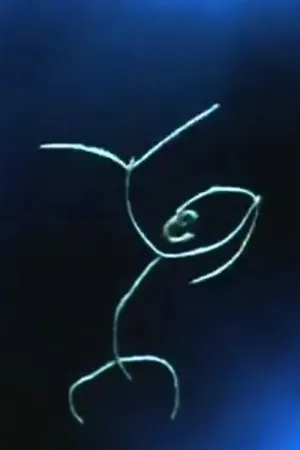 ماده