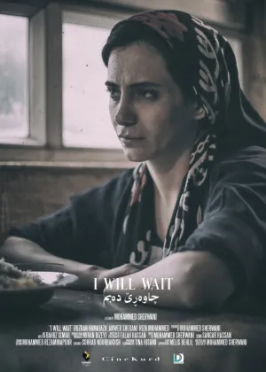 من صبر دارم تا برگردی