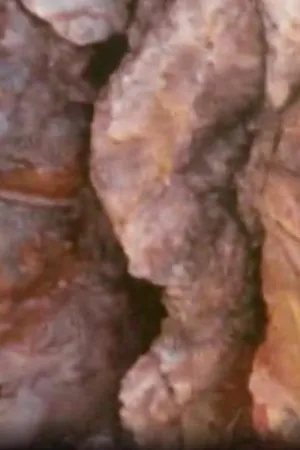 مونت از مونت