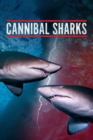 ه sharks انسانخوار
