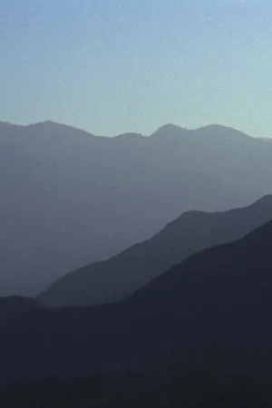 زندگی به زندگی