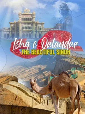 عشق قنده دار - سندھ زیبا