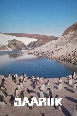 وضعیت یخ