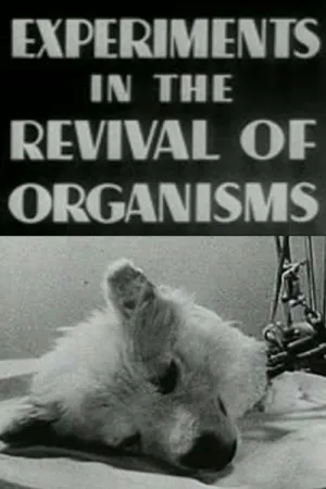 Watch and download Experiments in the Revival of Organisms online (1940)