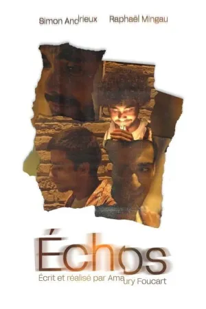 ایکوها